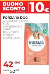 Forza 10 - Dog