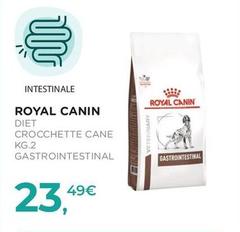 Royal Canin - Diet Crocchette Cane Gastrointestinal