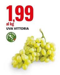 Vittoria - Uva