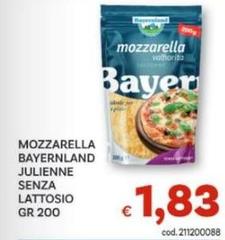 Bayer - Mozzarella nland Julienne Senza Lattosio