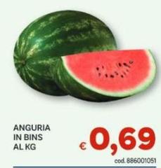 Anguria In Bins