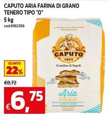 Caputo -  Farina Di Grano Tenero Tipo 