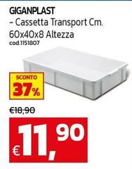Cassetta Transport Cm. 60x40x8 Altezza