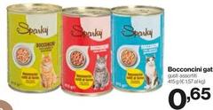 Sparky - Bocconcini Gat