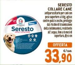 Blanco - Collare Cane