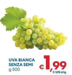 Uva Bianca Senza Semi