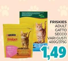 Purina - Friskies Adult Gatto Secco