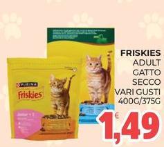 Purina - Friskies Adult Gatto Secco