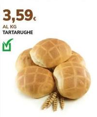 Tartarughe