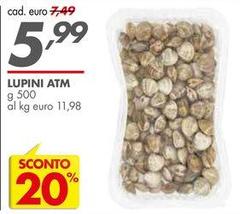 Lupini Atm