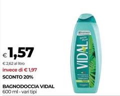 Vidal - Bagnodoccia