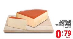 Bayernland - Frago Fontal Formaggio Danese