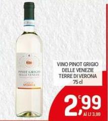 Terre Di Verona - Vino Pinot Grigio Delle Venezie