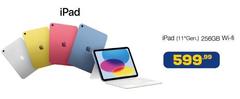Ipad (1