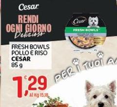 Cesar - Fresh Bowls Pollo E Riso