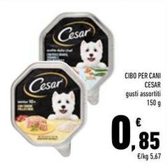 Cesar - Cibo Per Cani