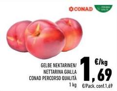 Conad - Gelbe Nektarinen/ Nettarina Gialla Percorso Qualità