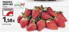Orto Qui - Fragole