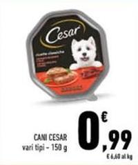 Cesar - Cani