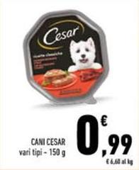 Cesar - Cani