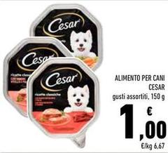 Cesar - Alimento Per Cani
