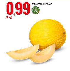 Melone Giallo