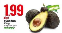 Avocado