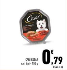 Cesar - Cani
