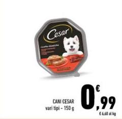 Cesar - Cani