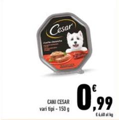 Cesar - Cani