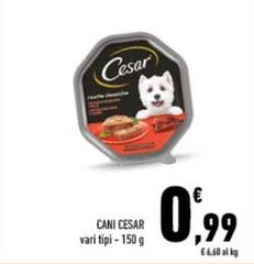 Cesar - Cani
