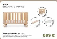EVO Sistema Snnno Evolutivo