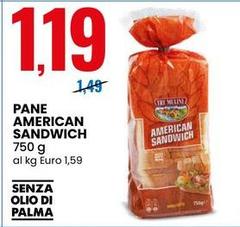 American - Pane  Sandwich