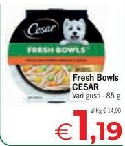 Cesar - Fresh Bowls