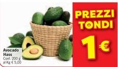 Avocado Hass