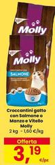 Molly - Croccantini Gatto Con Salmone O Manzo E Vitello