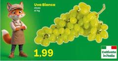 Uva Bianca