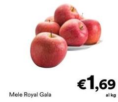 Royal - Mele  Gala