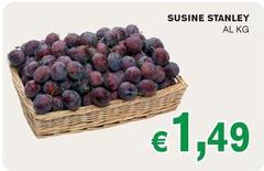 Stanley - Sucine