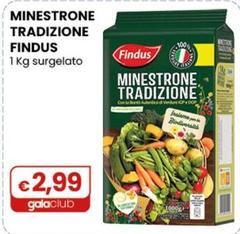 Findus - Minestrone Tradizione 1 Kg Surgelato
