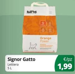 Signor Gatto - Lettiera
