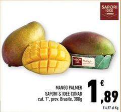 Sapori - Mango Palmer  & Idee