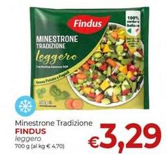 Findus - Minestrone Tradizione