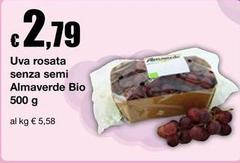 Semi - Uva Rosata Senza  Almaverde Bio