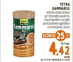 Tetra -  Gammarus