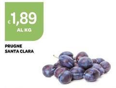 Prugne