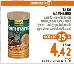 Tetra -  Gammarus