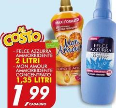Maxi - Felce Azzurra Ammorbidente