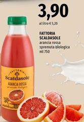 Fattoria Scaldasole - Arancia Rossa Spremuta Biologica