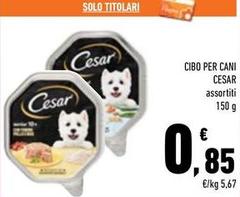 Cesar - Cibo Per Cani